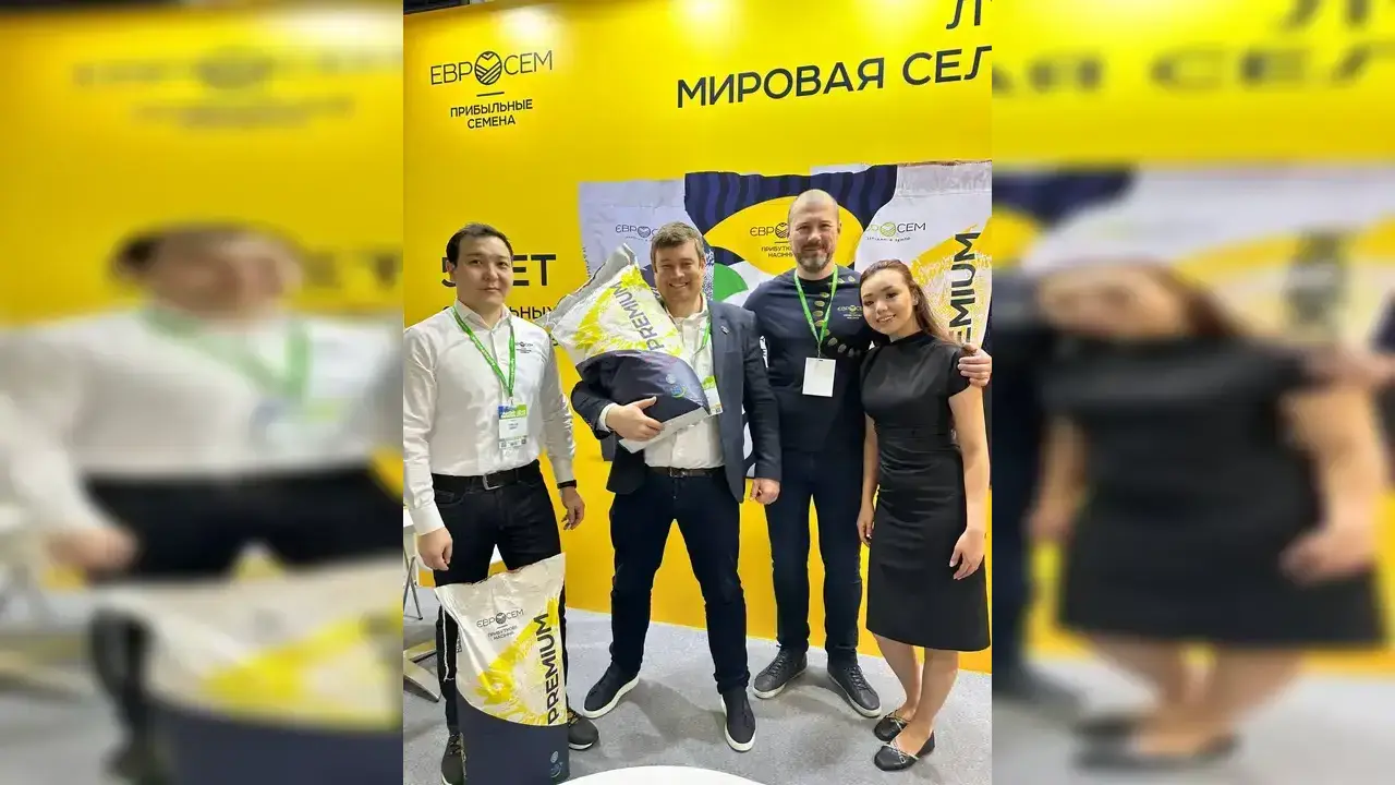 выставка